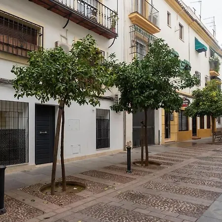 Bhost - La Sacristia 2 * Córdoba